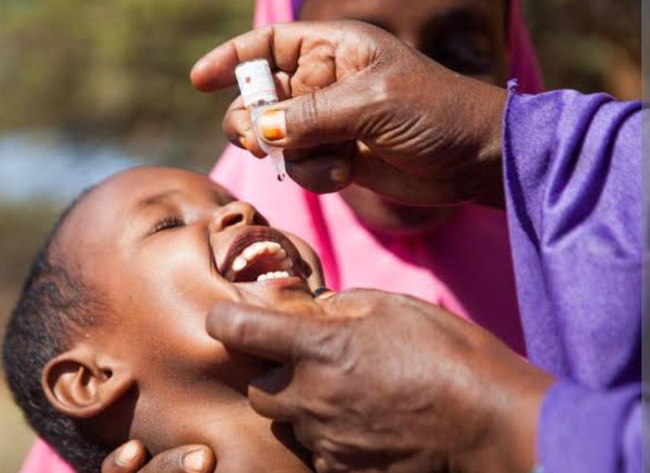 Kano Targets 3.9m Children in Fourth Round of Polio Vaccination Campaign Screenshot 20251125 205128