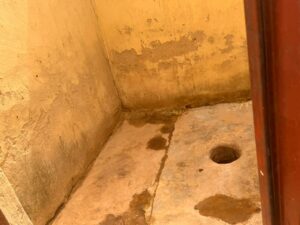 motion photo 2122060314727114061