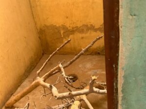 motion photo 6706355203468390928